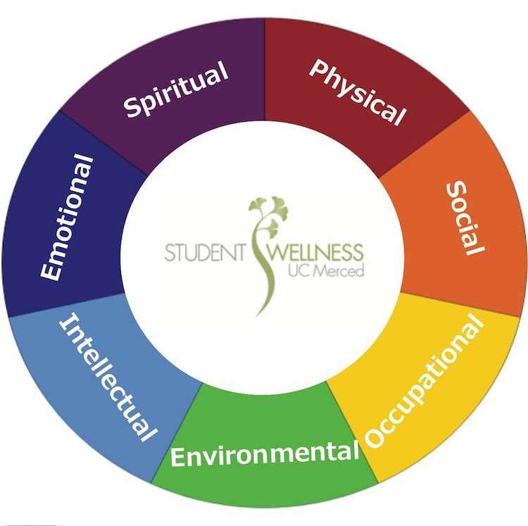 7 dimensions of wellness emotional, spiritual, physical, social, occupational, environmental, intellectual